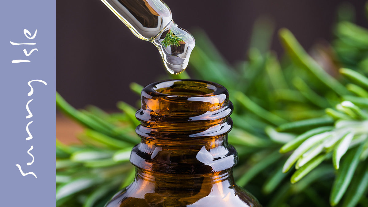 Blog by Sunny Isle: Benefits of Using Rosemary To Control Excess Oil in the Scalp
