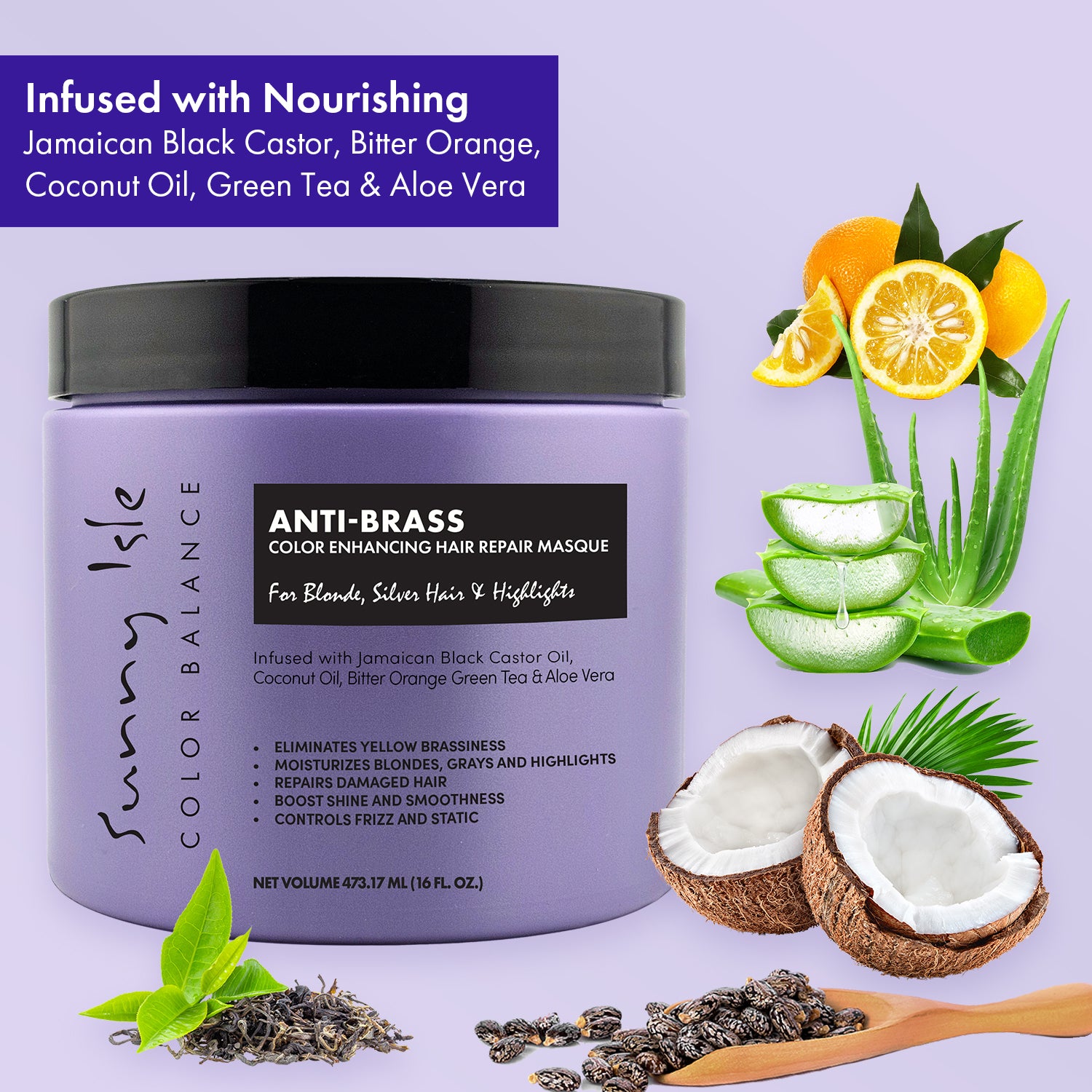 Anti-Brass Color Enhancing Purple Hair Repair Masque | Sunny Isle